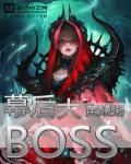 请君幕后大boss