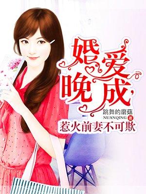 婚燃前妻