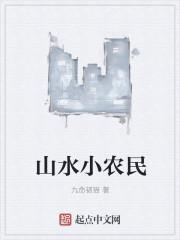 山水小农民精校版txt