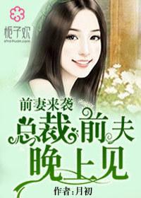 总裁前夫老婆请跟我回家