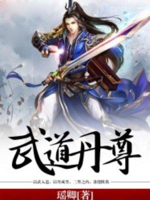 武道丹尊王城