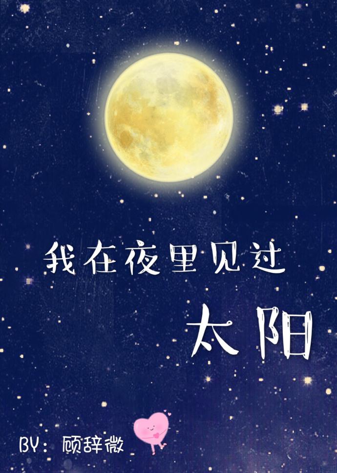 我曾在夜里见过太阳