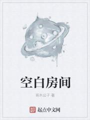 空白房间汤什么意思