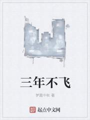 飞将冲天;三年不鸣