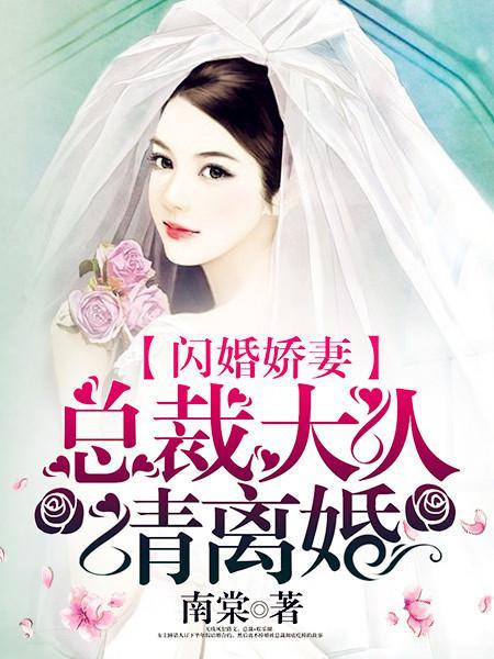 闪婚娇妻总裁大人请离婚漫画第二季