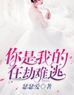 你是我的在劫难逃100集完结版