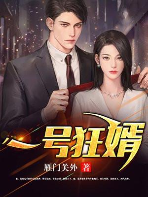 一号狂婿陈北黎轻烟正版