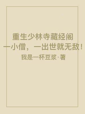 重生少林寺藏经阁一小僧出世就无敌TXT