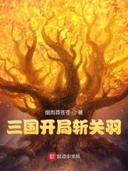 三国开局斩关羽顶点