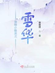 宠物小精灵 雪系