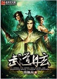 天龙八部武道玄元丹