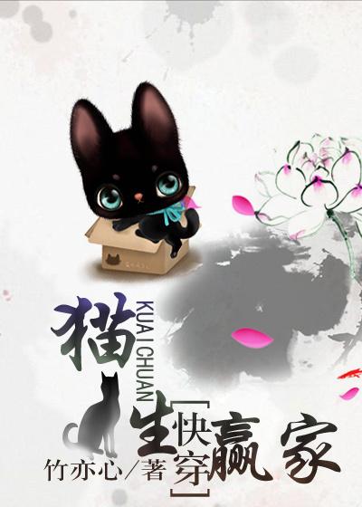 猫生赢家全文免费阅读