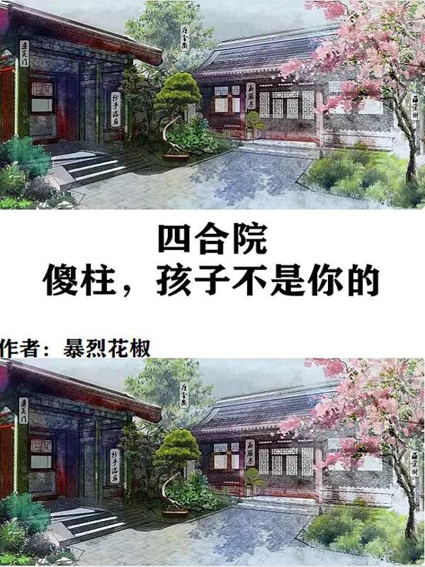 情满四合院傻柱有孩子吗