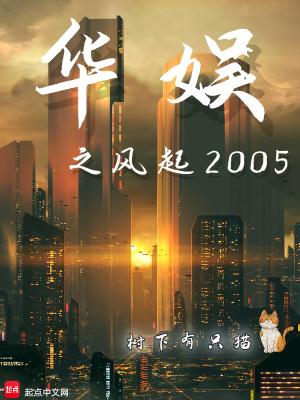 华娱之风起2005起点