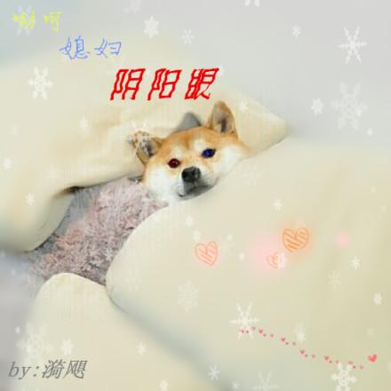 哟呵媳妇阴阳眼gl