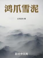 雪泥鸿爪意境图片