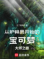 宝可梦护林员4