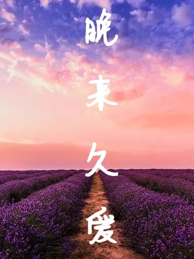 晚来的爱歌曲