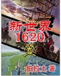 新世界1620后续