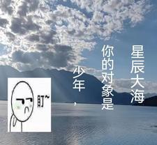 那少年是什么