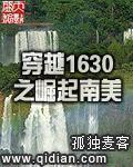 穿越1630之崛起南美地图高清