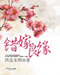 错嫁良缘之一代军师完结