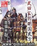 武田家的明国武士奇书网