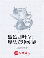 黑色四叶草：魔法宠物使徒